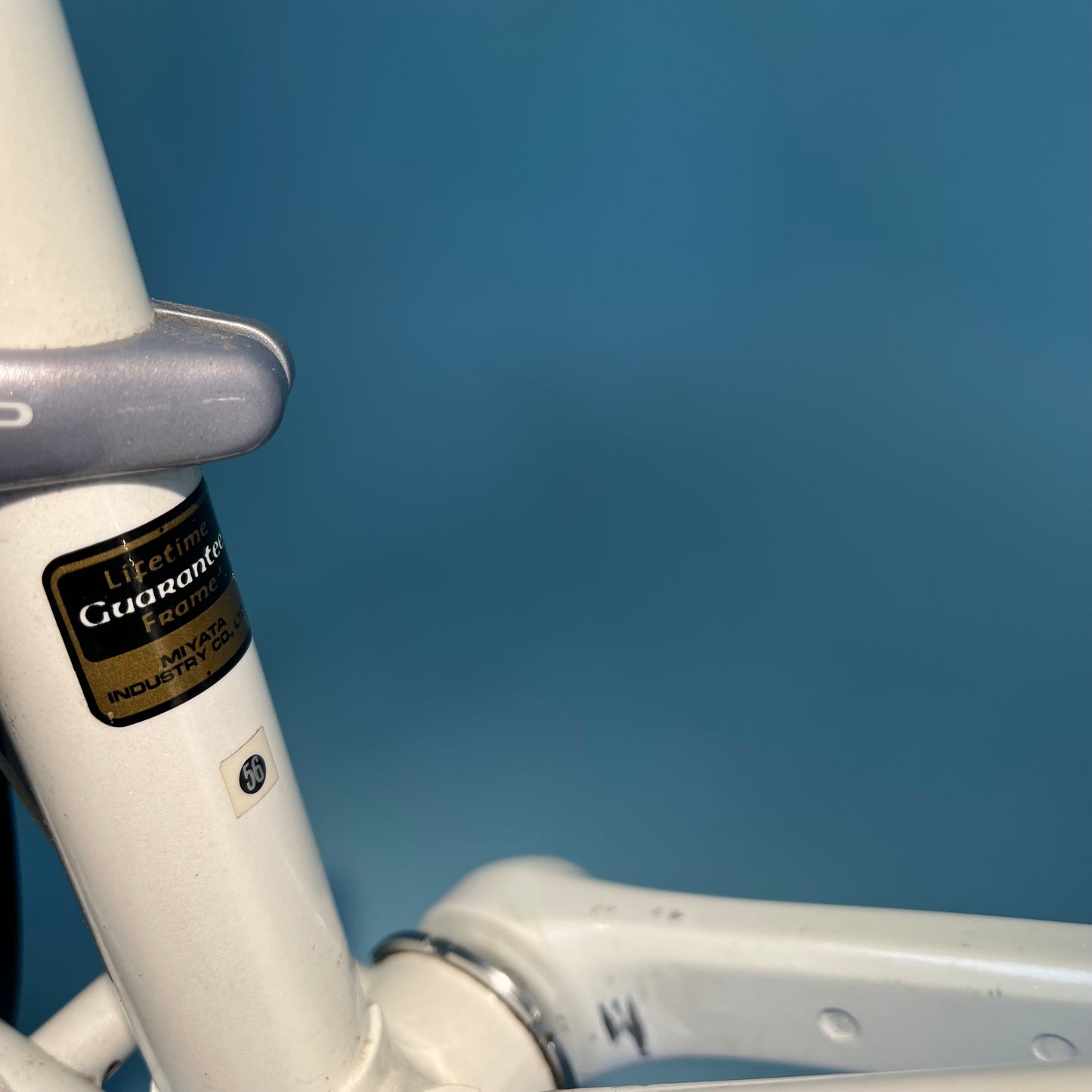 Koga Miyata Runner size 56