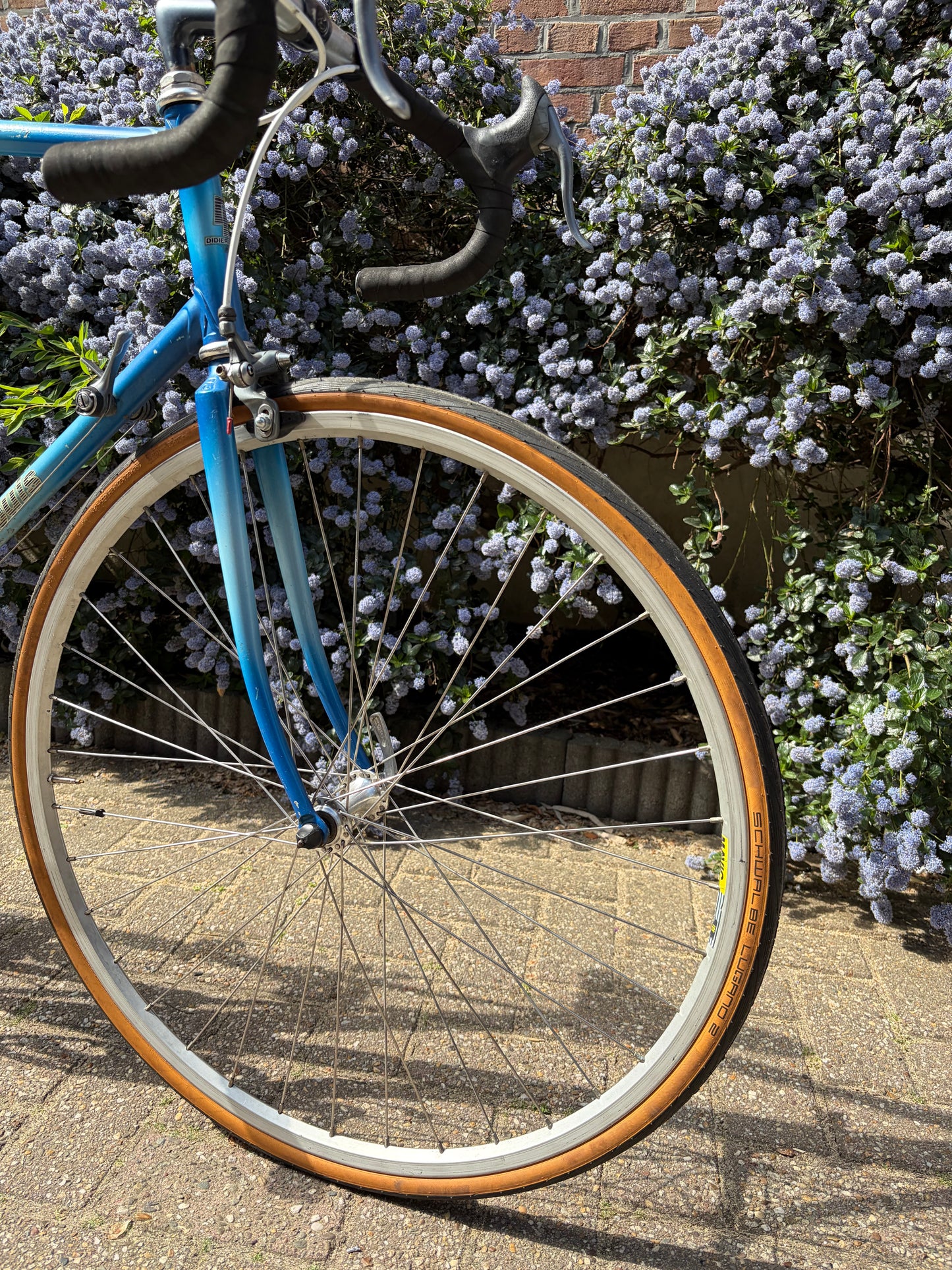 Didier Louis - vintage French bike. Size 60 cm