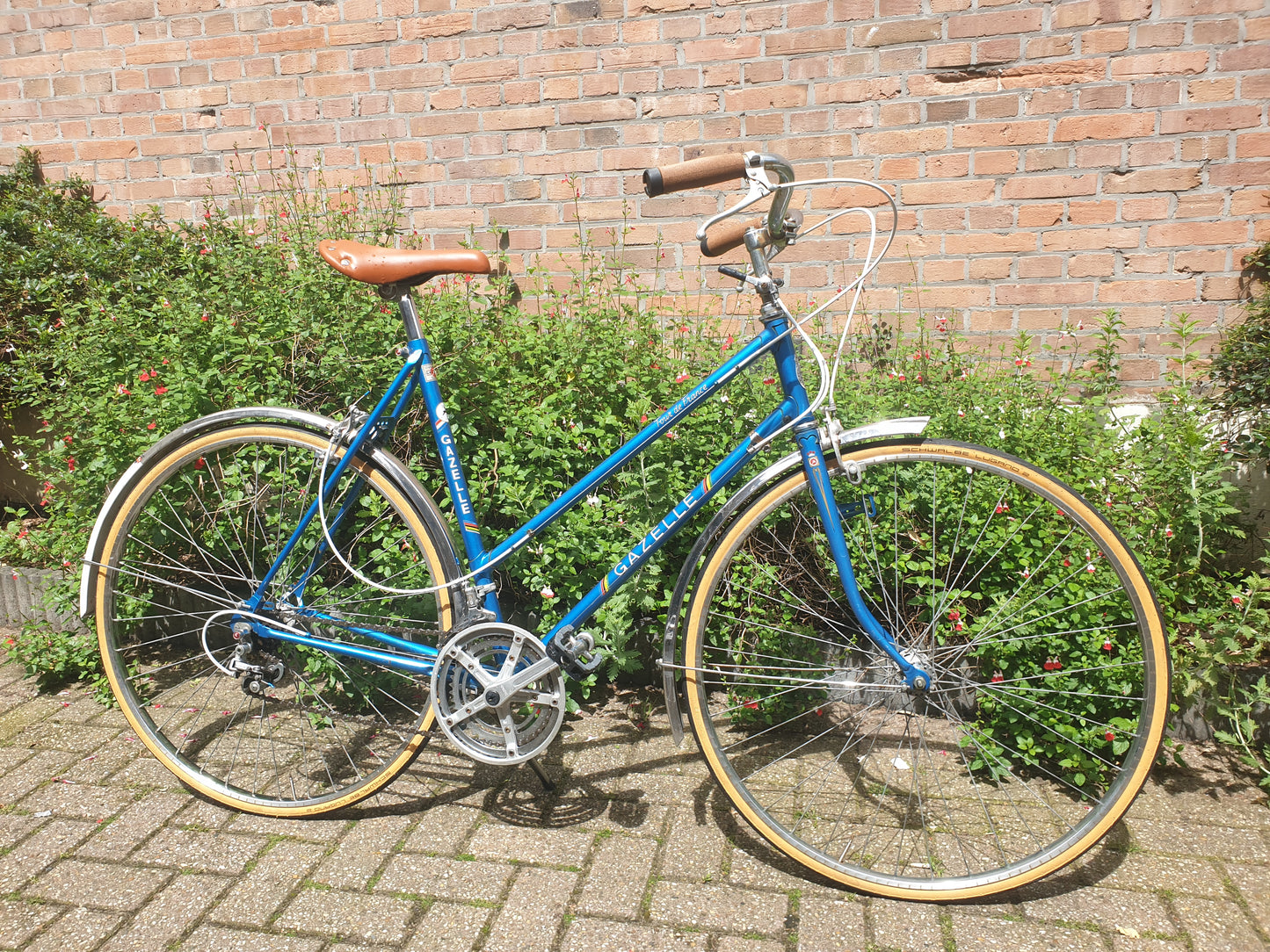 Gazelle tour de France- Vintage Ladies bike