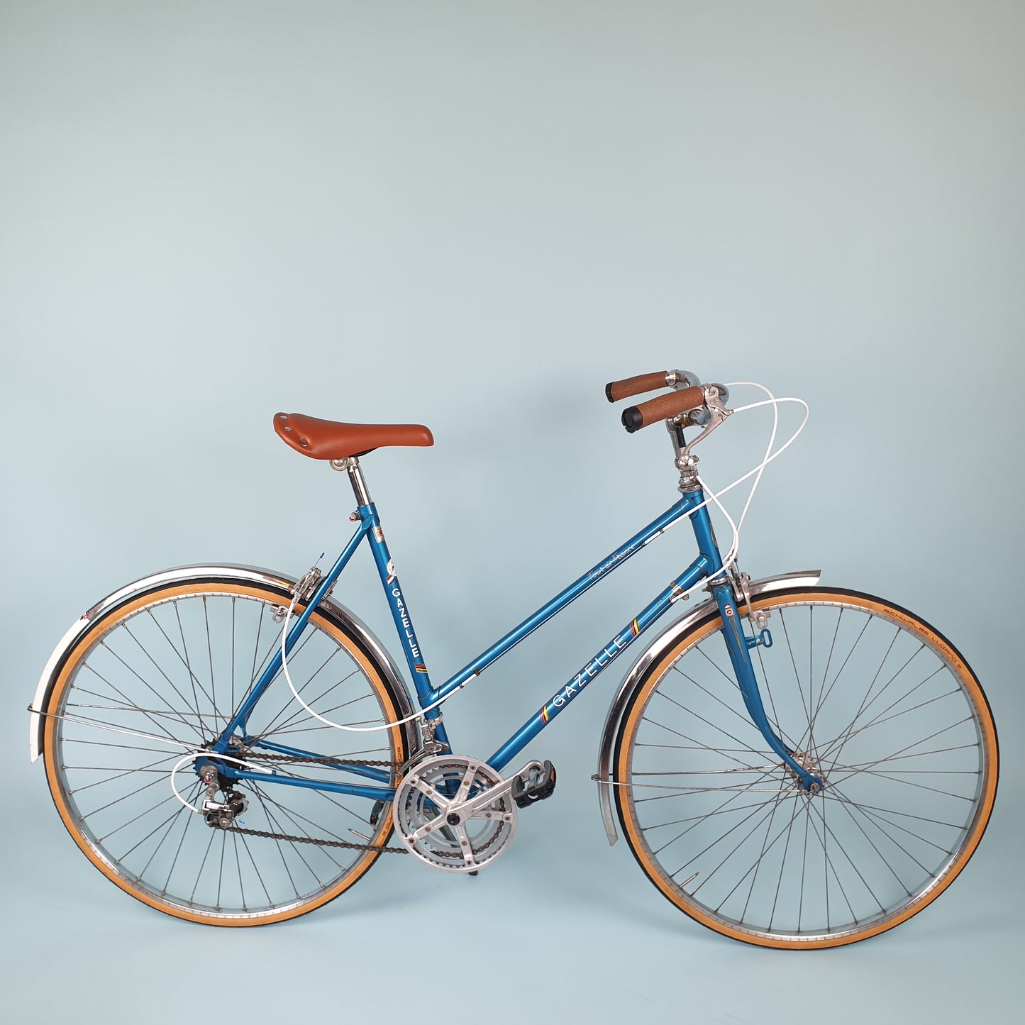 Gazelle tour de France- Vintage Ladies bike