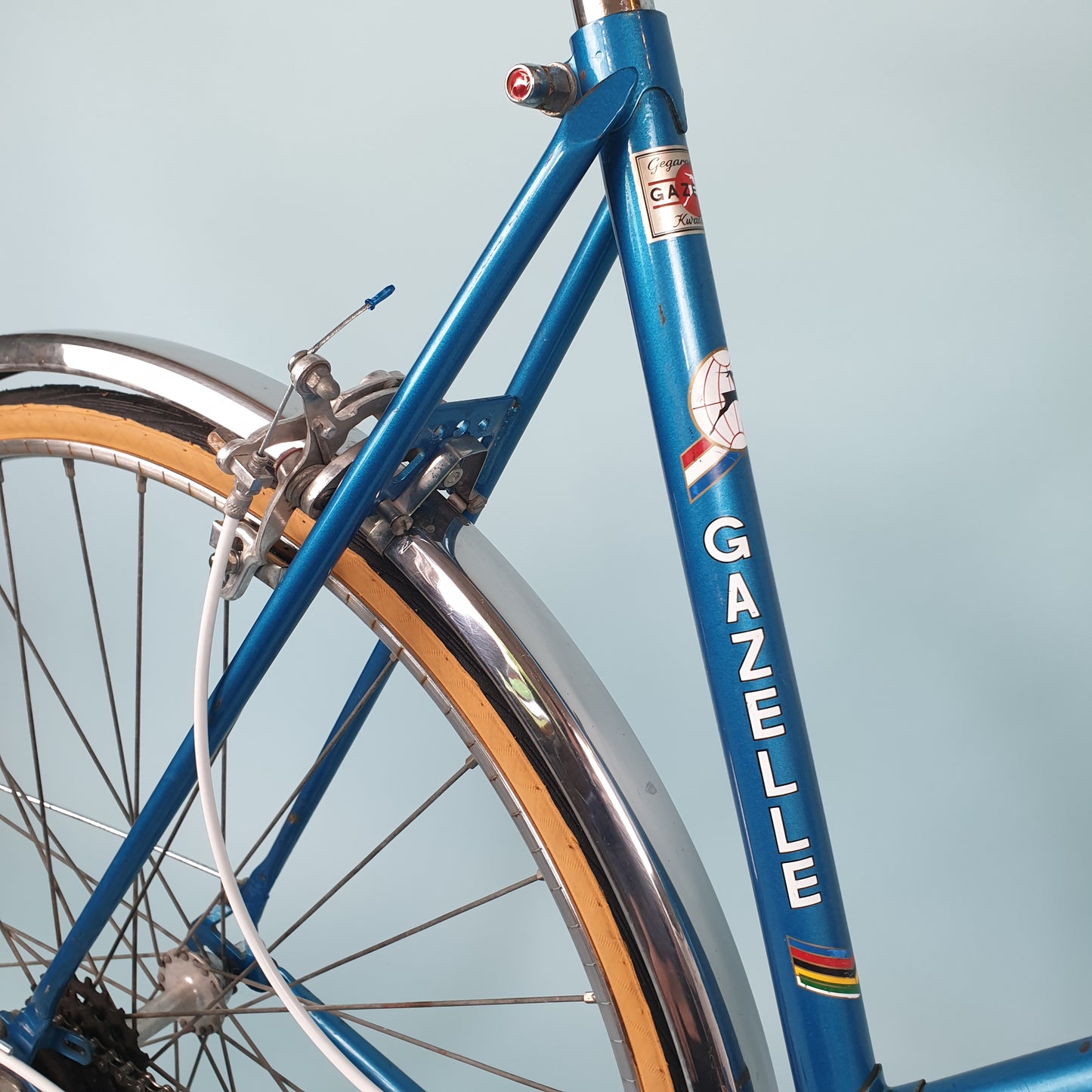 Gazelle tour de France- Vintage Ladies bike