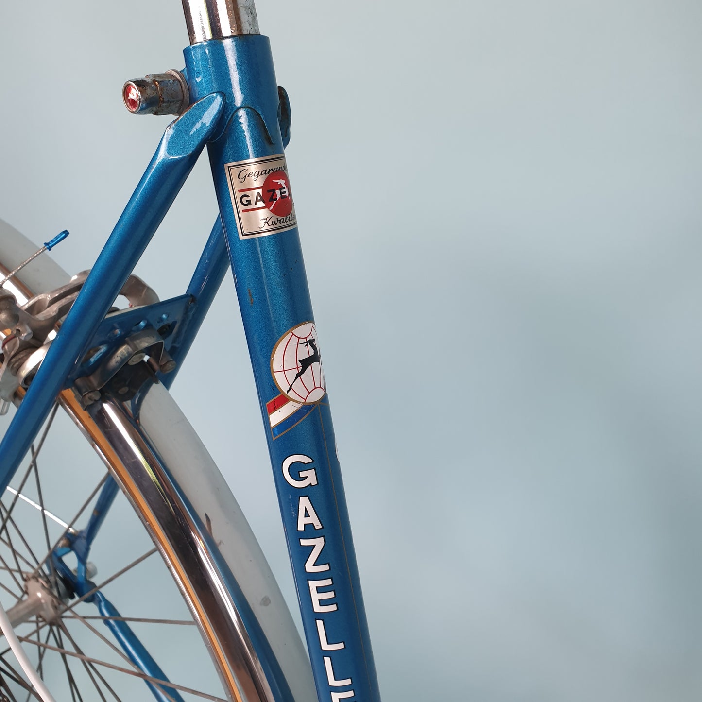 Gazelle tour de France- Vintage Ladies bike