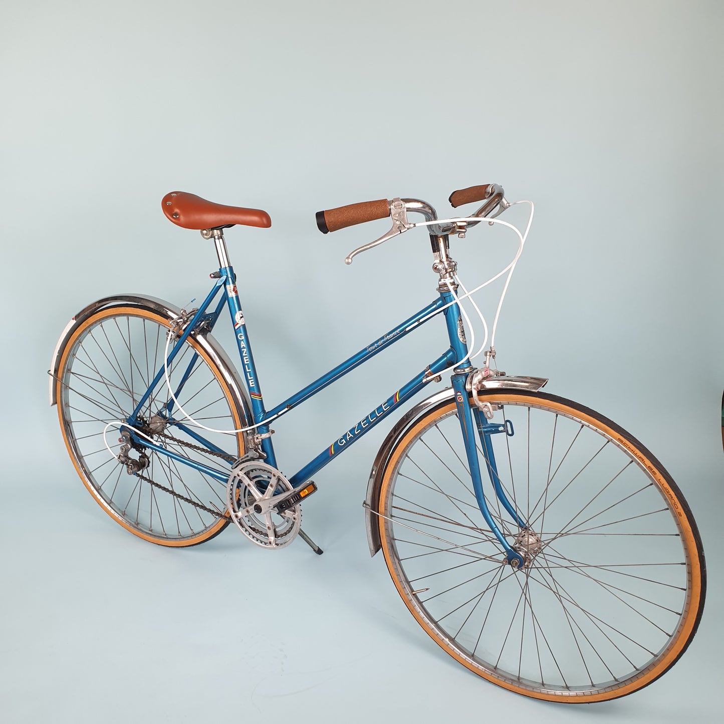 Gazelle tour de France- Vintage Ladies bike