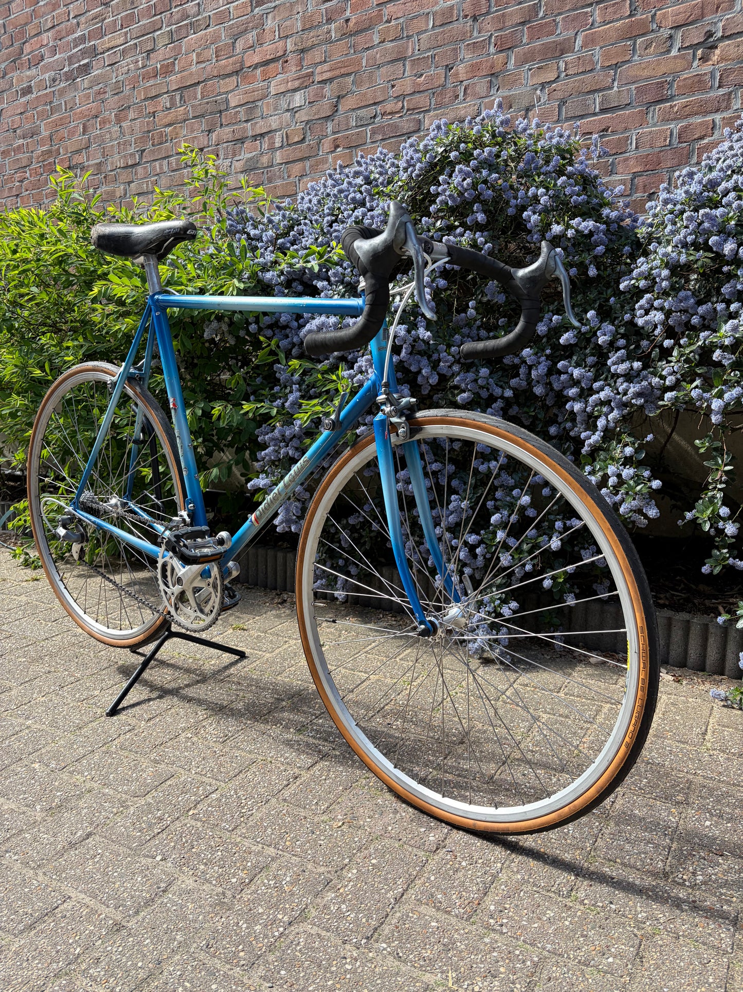 Didier Louis - vintage French bike. Size 60 cm