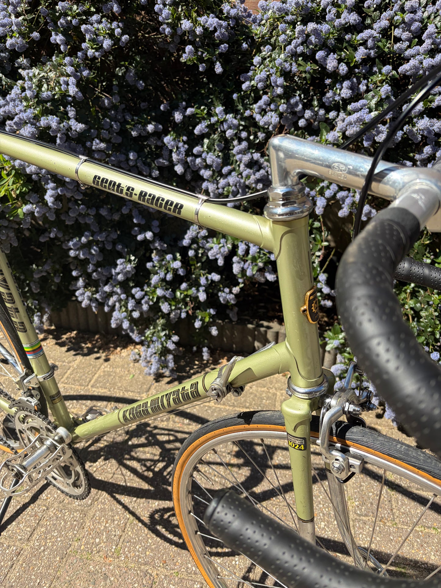 Koga Miyata Gents-Racer 61,5 cm