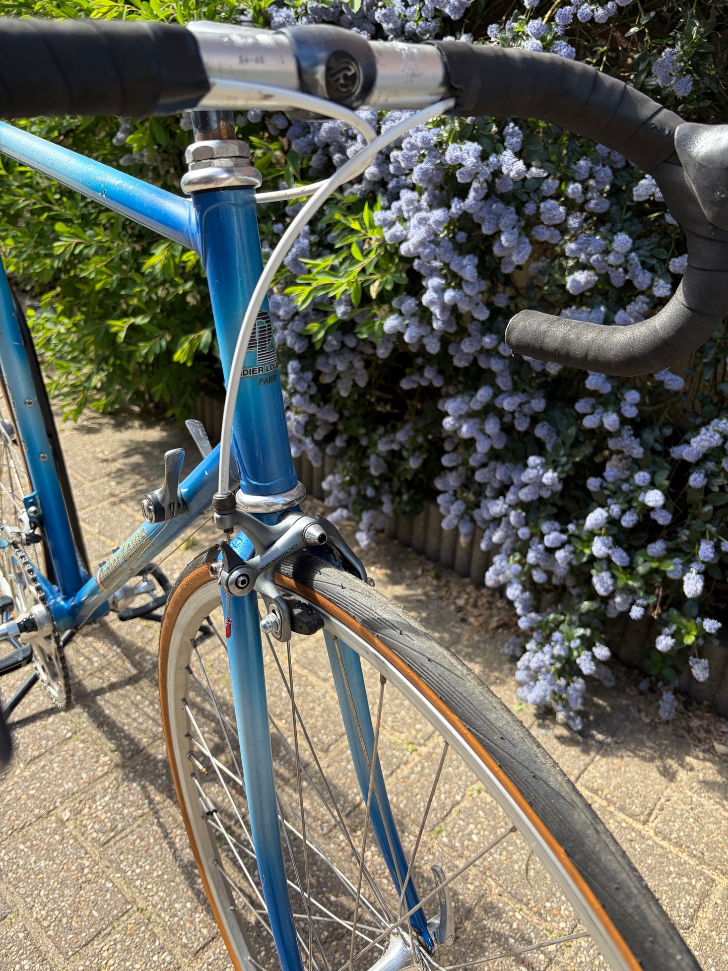 Didier Louis - vintage French bike. Size 60 cm