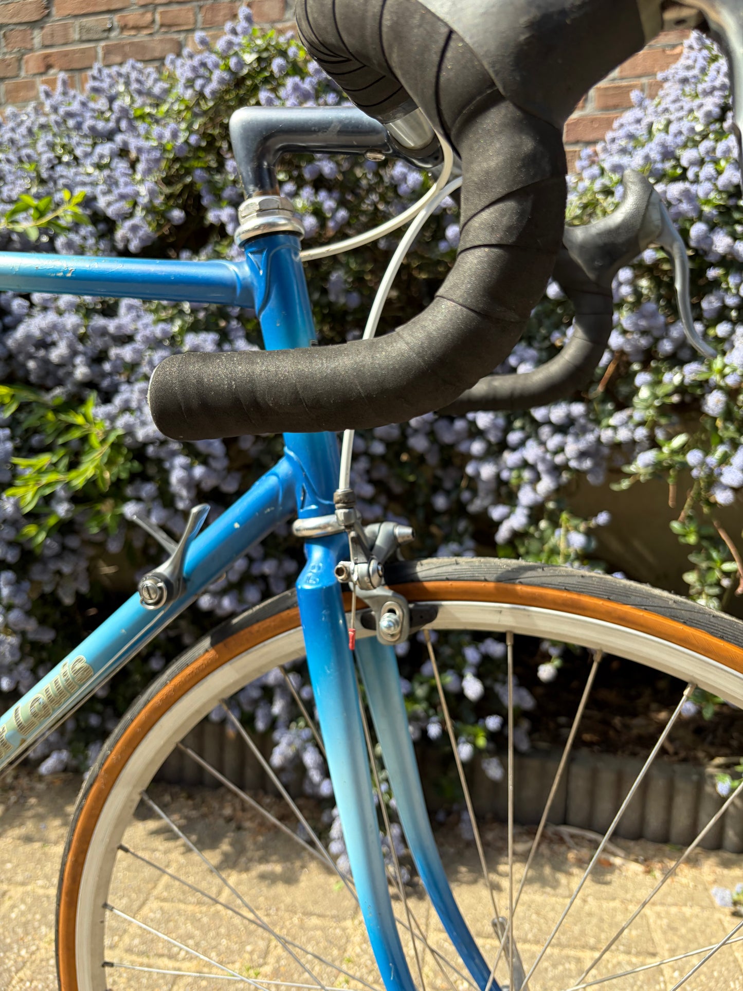 Didier Louis - vintage French bike. Size 60 cm