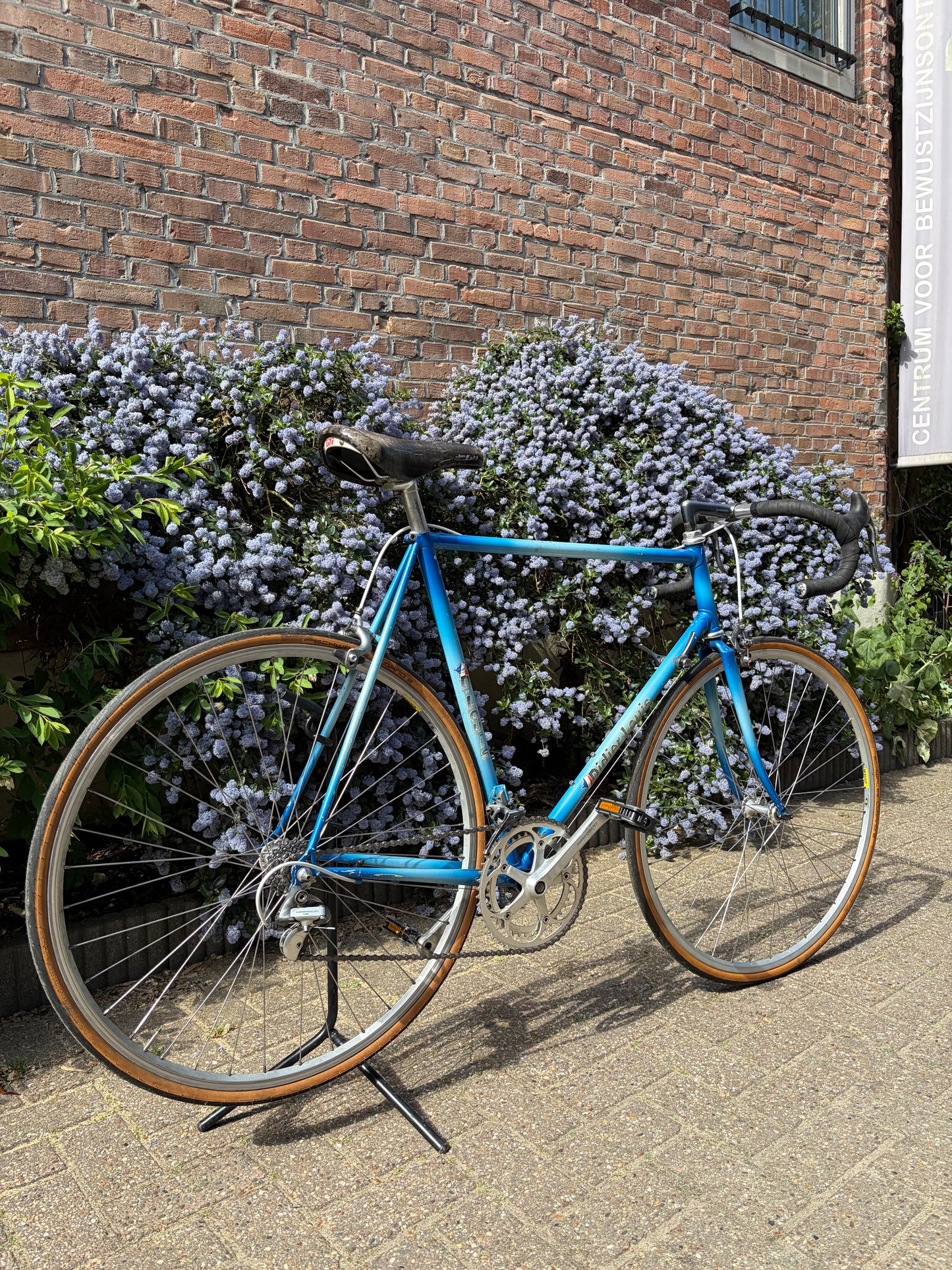 Didier Louis - vintage French bike. Size 60 cm